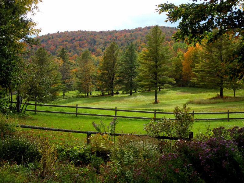 Coolidge State Park, Vermont