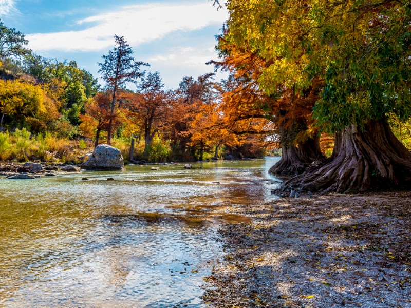 Fall at Guadalupe River State Park