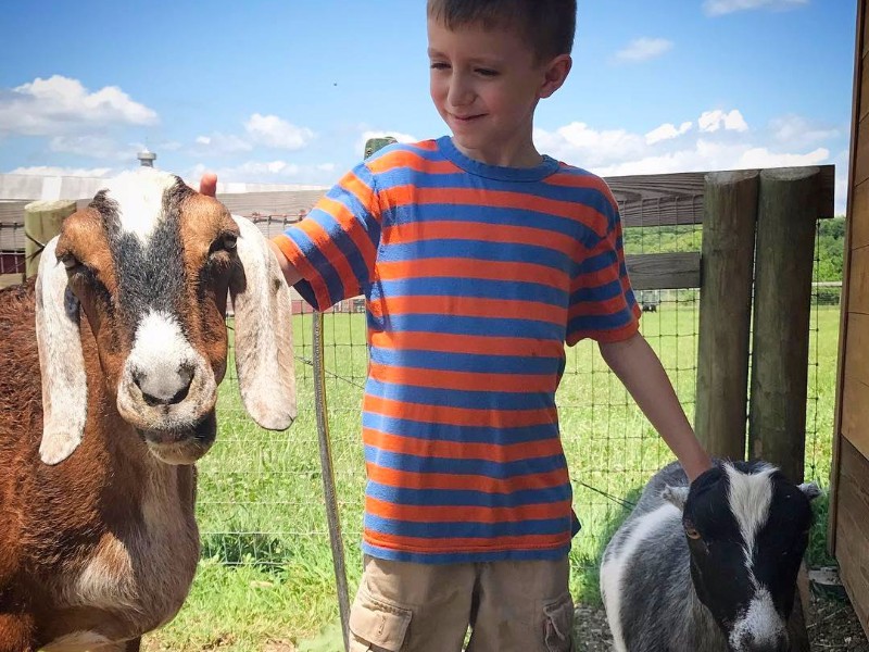 Woodstock Farm Sanctuary