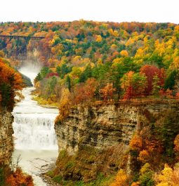 Gorge with waterfall running down the middle and fall foliage all around