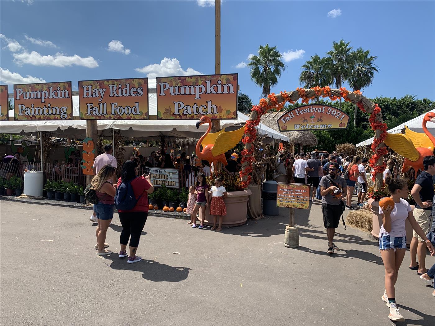 Fall Festival at Flamingo Road Nursery