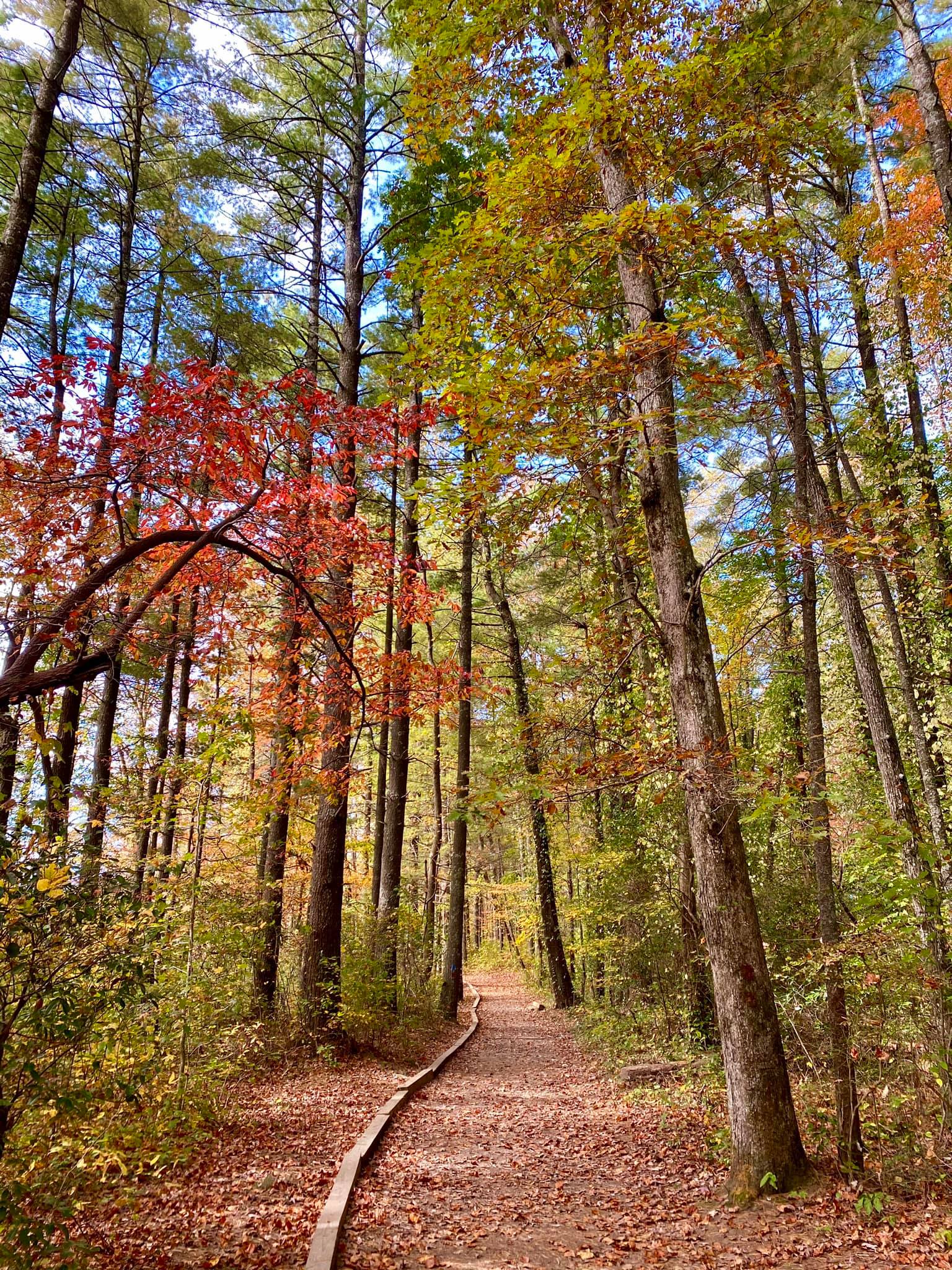 Fort Mountain State Park