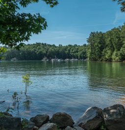 view of Lake Lanier in summer