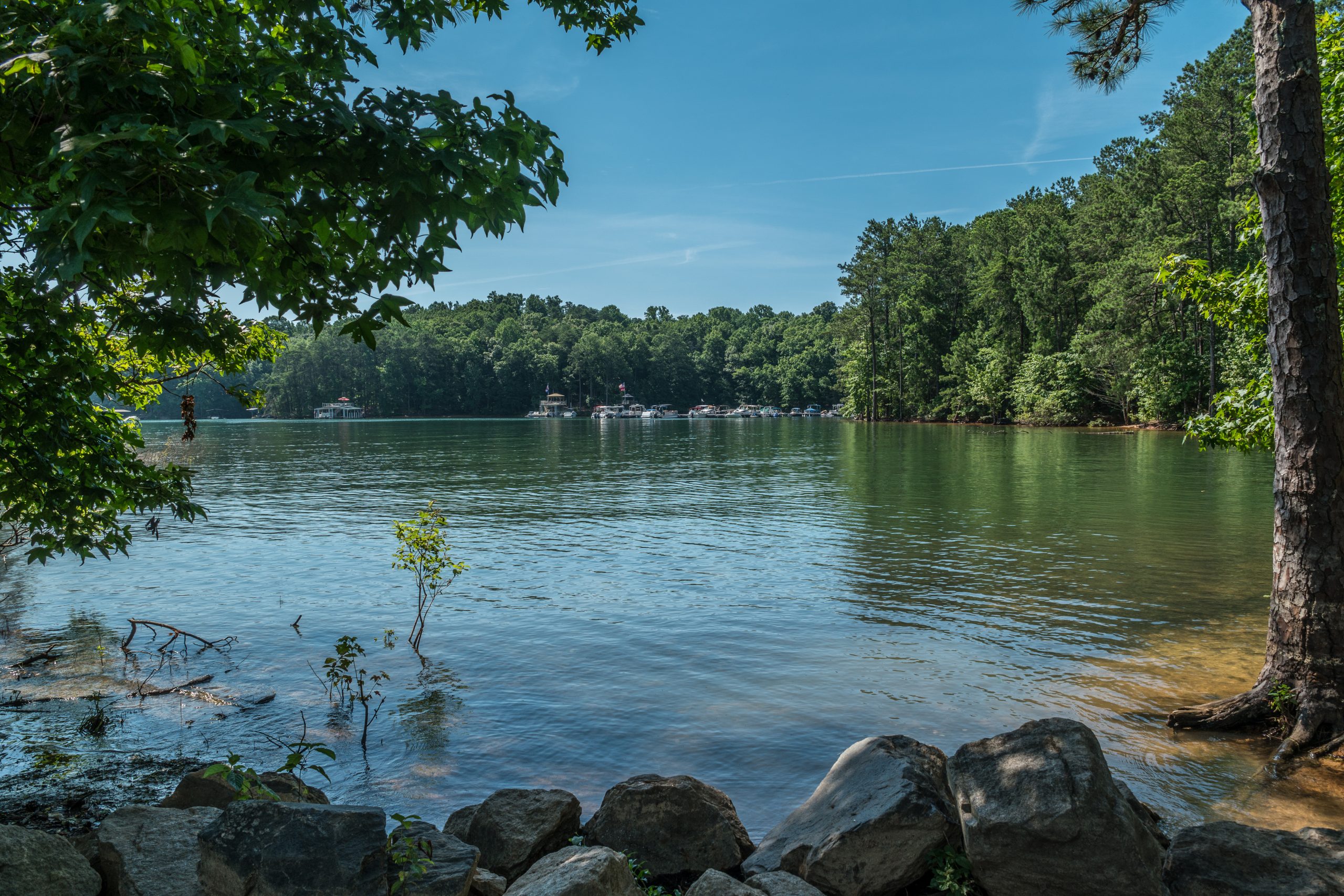 Lake Lanier 