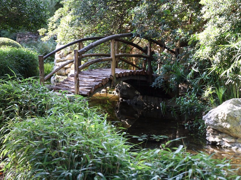 Bridge at Zilker Botanical Garden