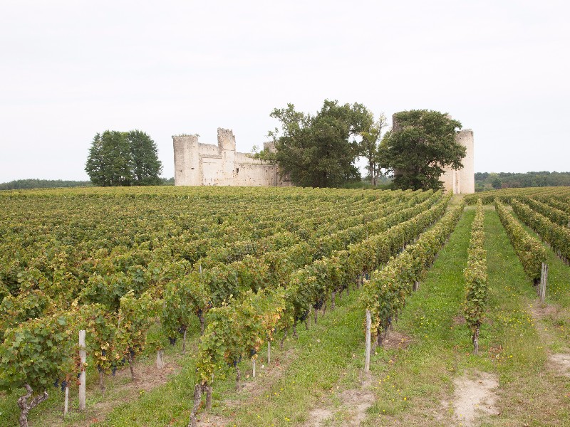 Medoc, France