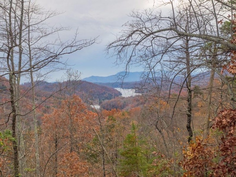 Buffalo Creek offers gorgeous views.