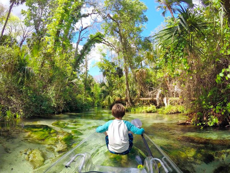 Get Up and Go Kayaking, Orlando