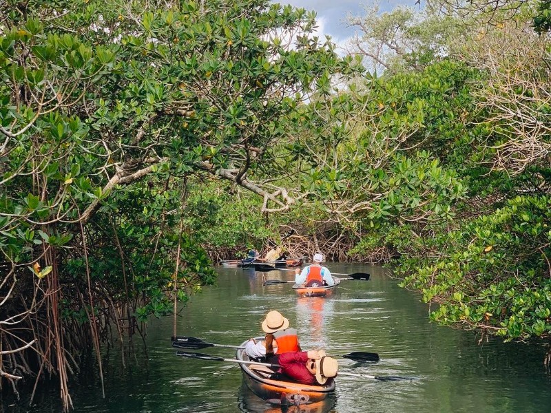 Get Up And Go Kayaking