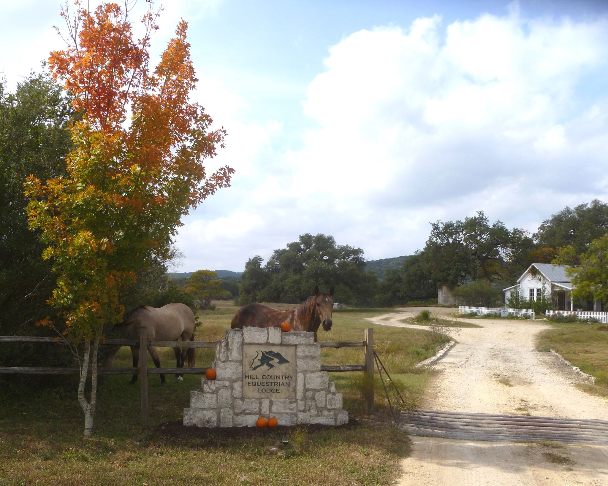 Hill Country Equestrian Lodge