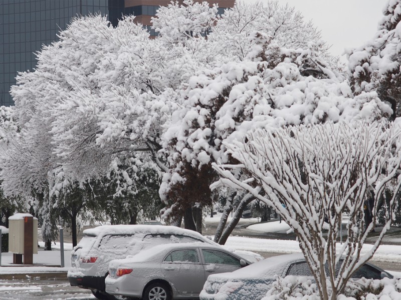 Snow in North Dallas