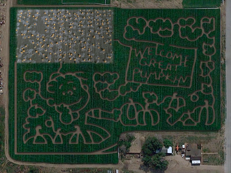 Diana's Pumpkin Patch Corn Maze