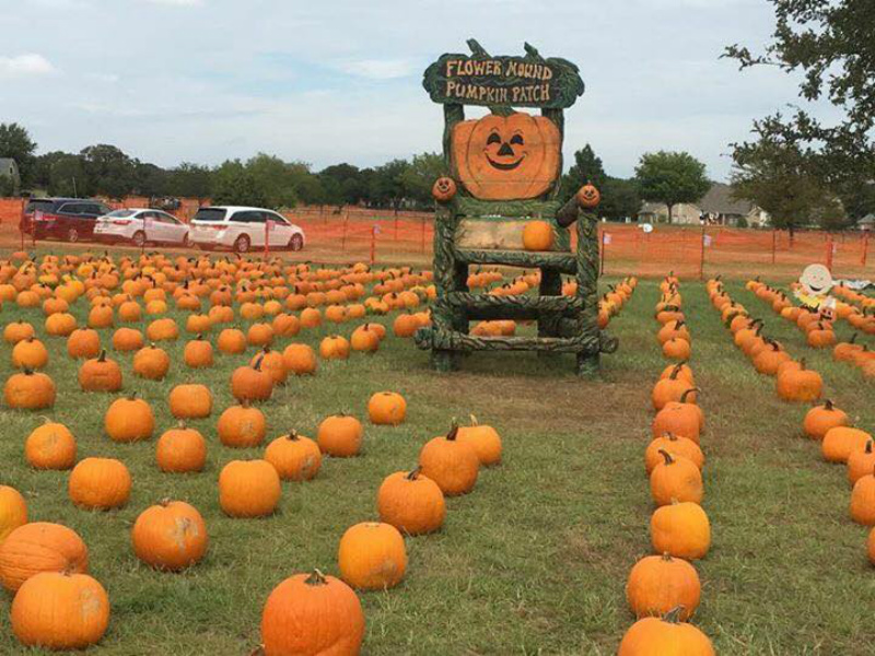 The Flower Mound Pumpkin Patch