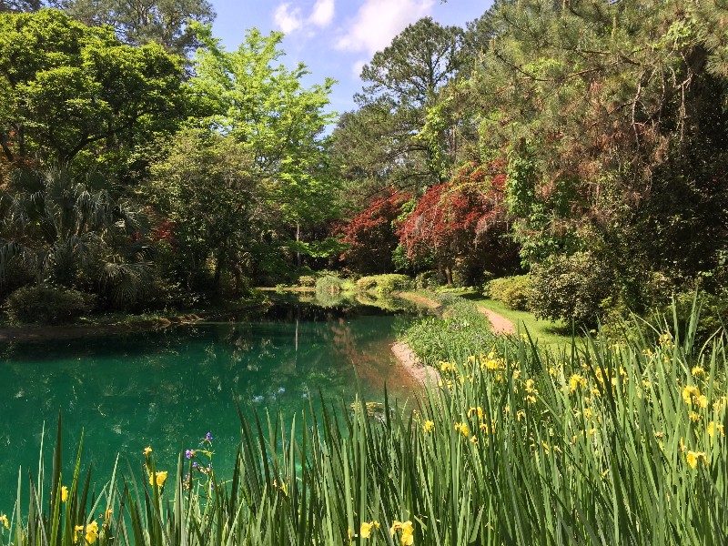 Alfred B. Maclay Gardens State Park