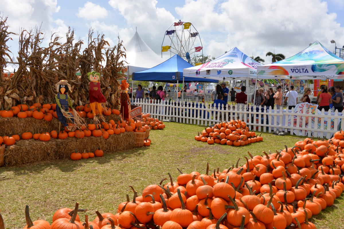 Coconut Grove Pumpkin Patch Festival