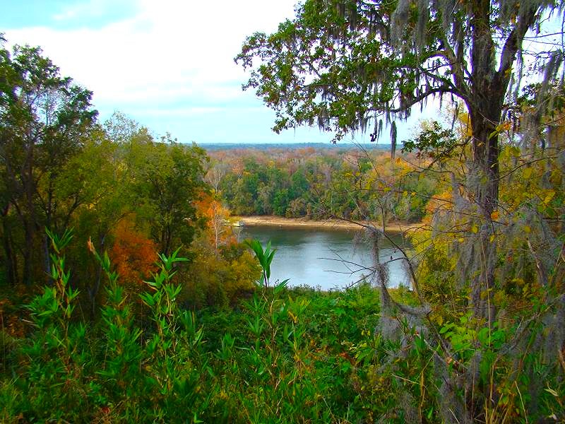 Torreya State Park