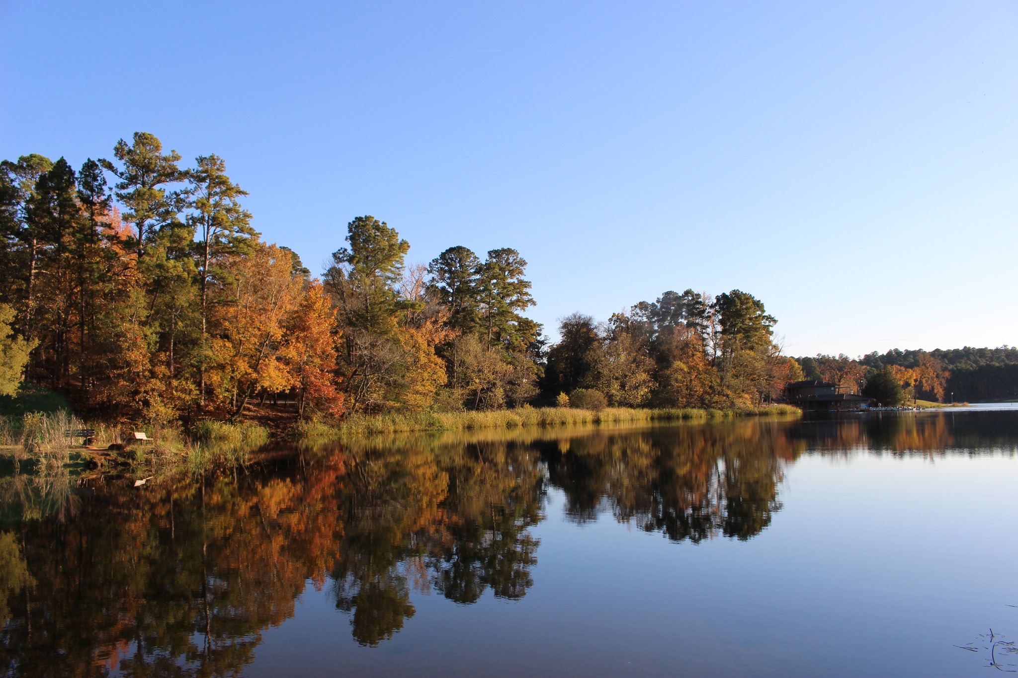 Tyler State Park