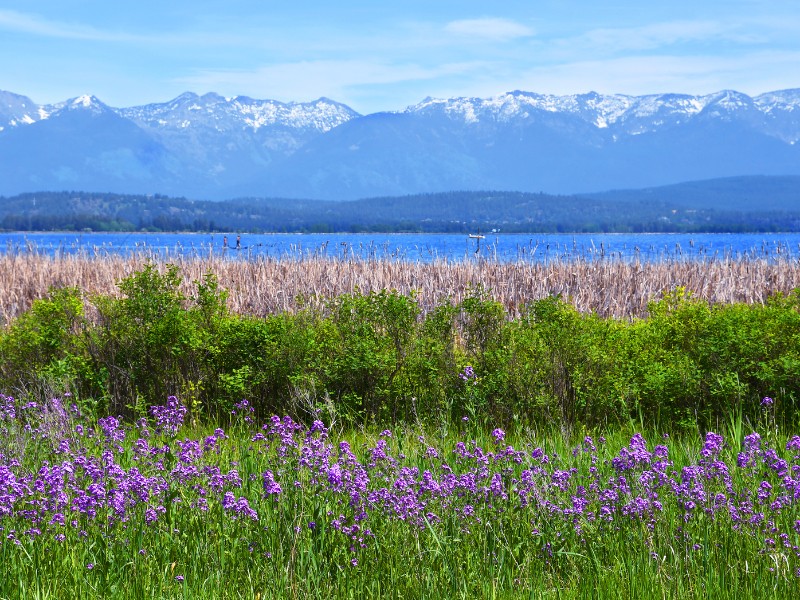 Flathead Lake