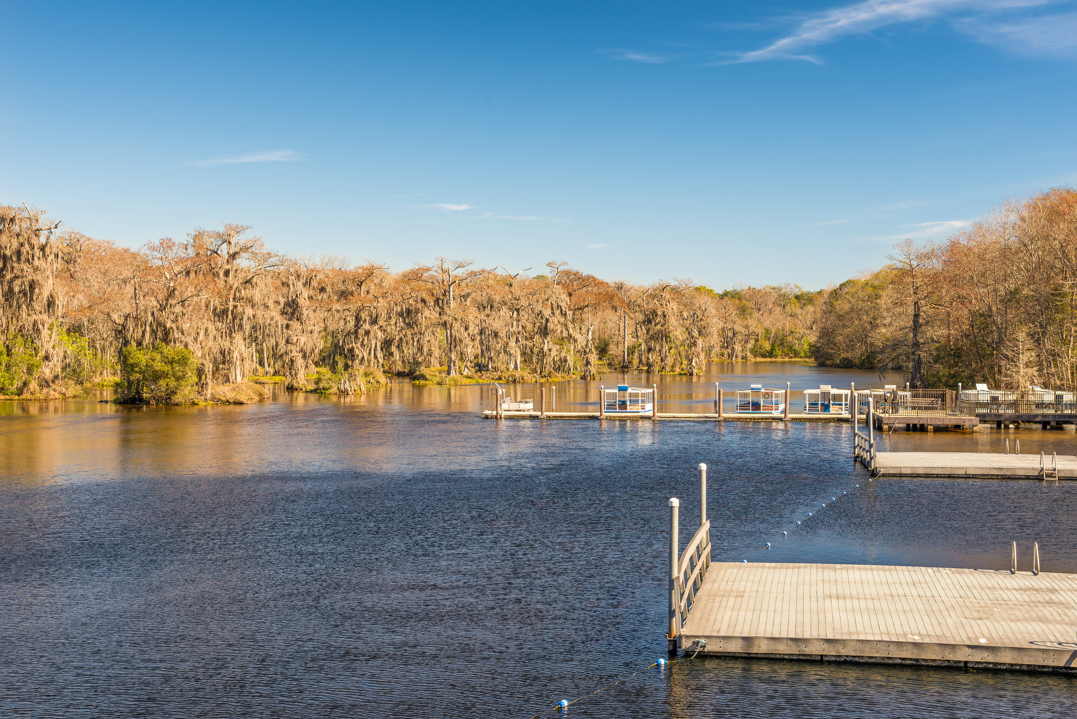 Edward Ball Wakulla Springs State Park