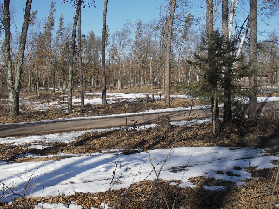 Campground at St. Croix State Park