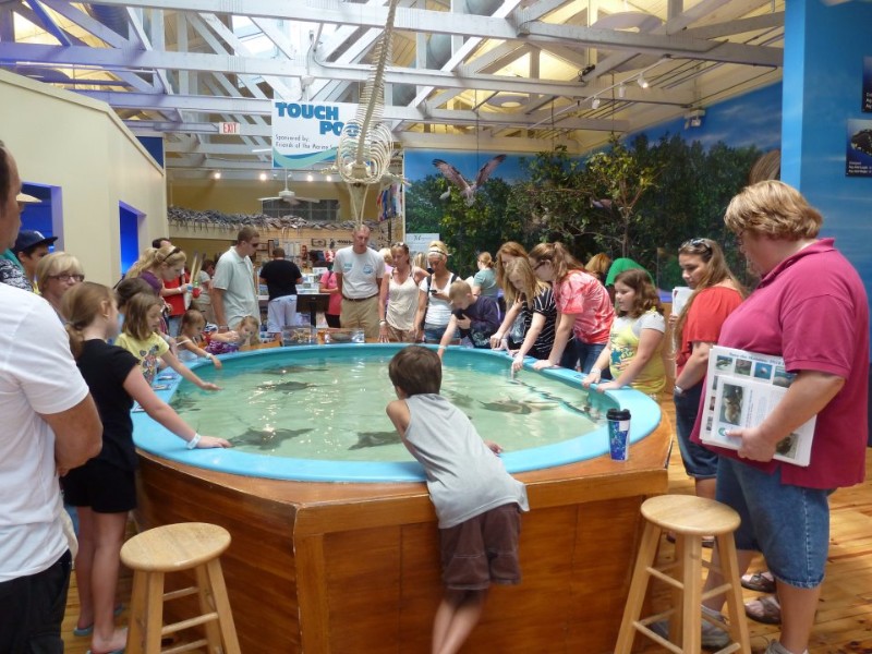 Marine Science Center, Ponce Inlet