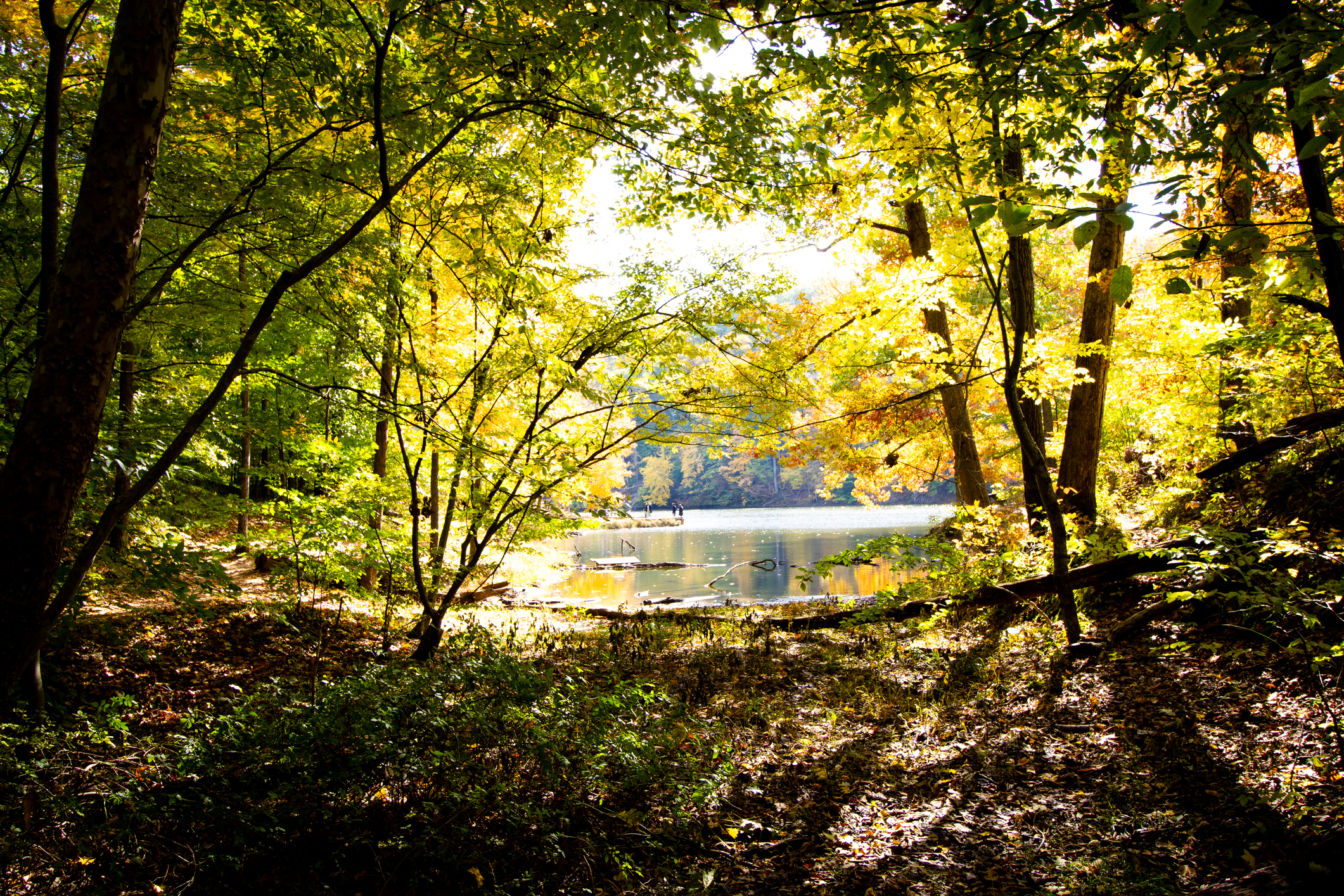 Brown County State Park in Nashville, Indiana