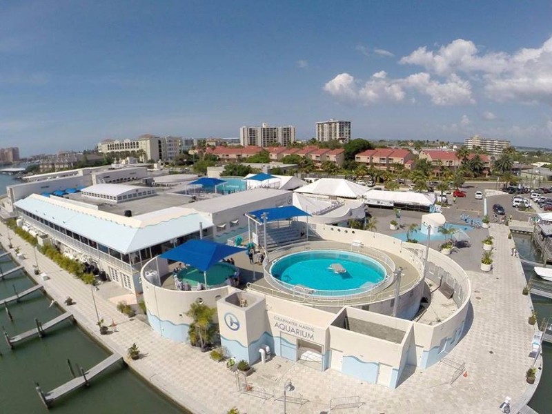 Clearwater Marine Aquarium, Clearwater Beach