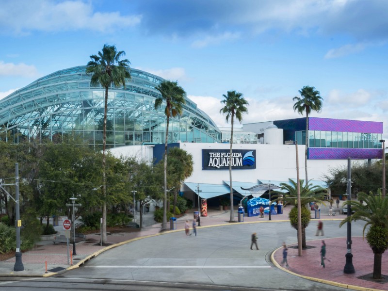 The Florida Aquarium