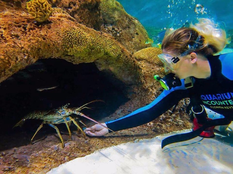 Florida Keys Aquarium Encounters, Marathon