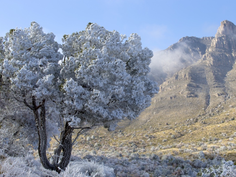 Guadalupe Mountains National Park