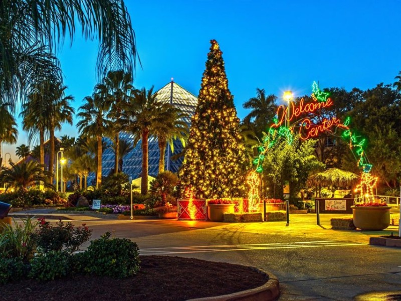 Festival of Lights at Moody Gardens