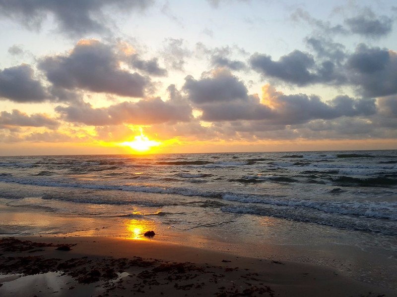 Padre Island National Seashore, Corpus Christi