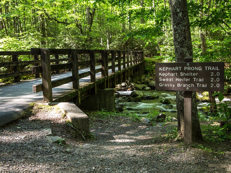 Great Smoky Mountains National Park