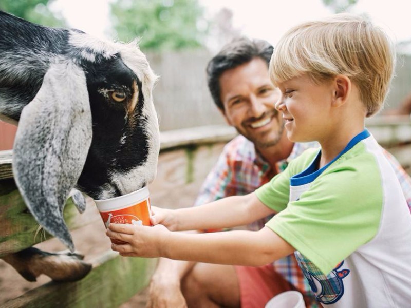 Animal feedings at Gulf Breeze Zoo