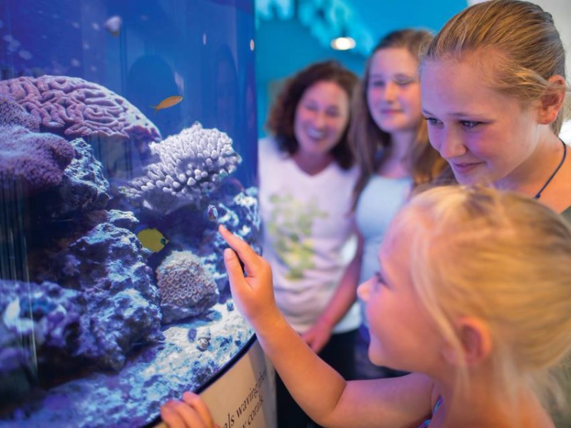 Mote Marine Laboratory & Aquarium, Sarasota