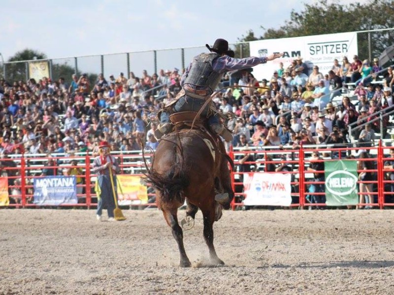 Bull riding at Homestead Rodeo