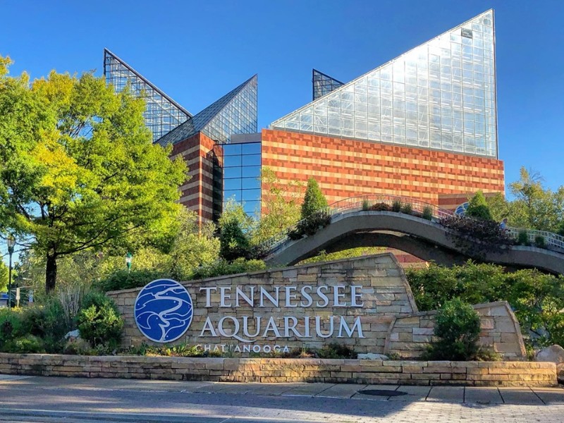 Tennessee Aquarium