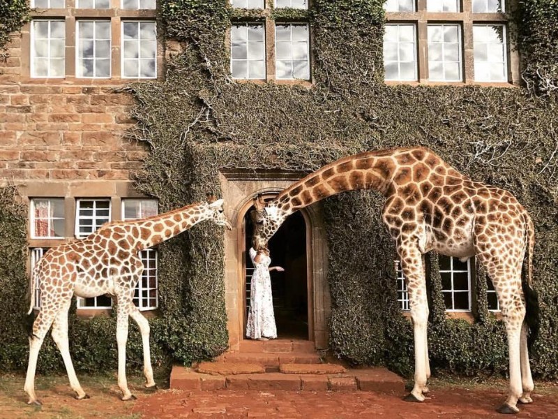 Giraffe Manor, Kenya