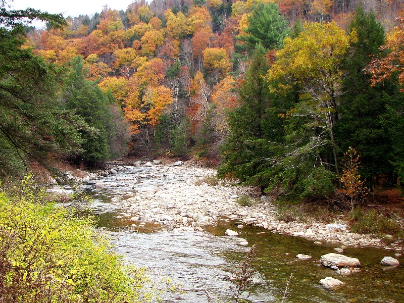 World's End State Park, Northern Pennsylvania, Late October