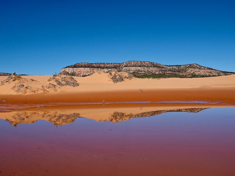 Reflection of sand dunes in Coral Pink Sand Dunes State Park