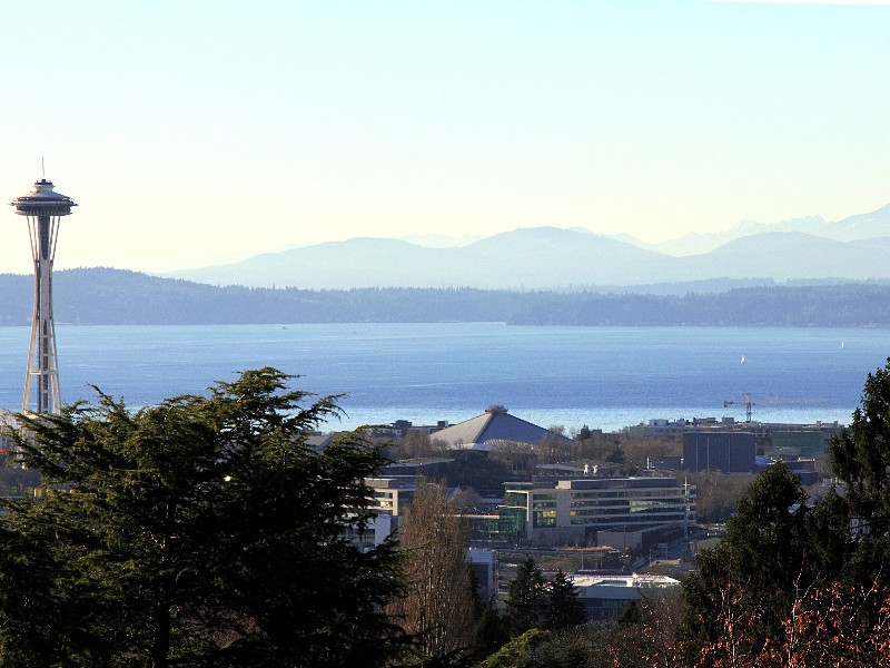 View from water tower in Volunteer Park, Seattle