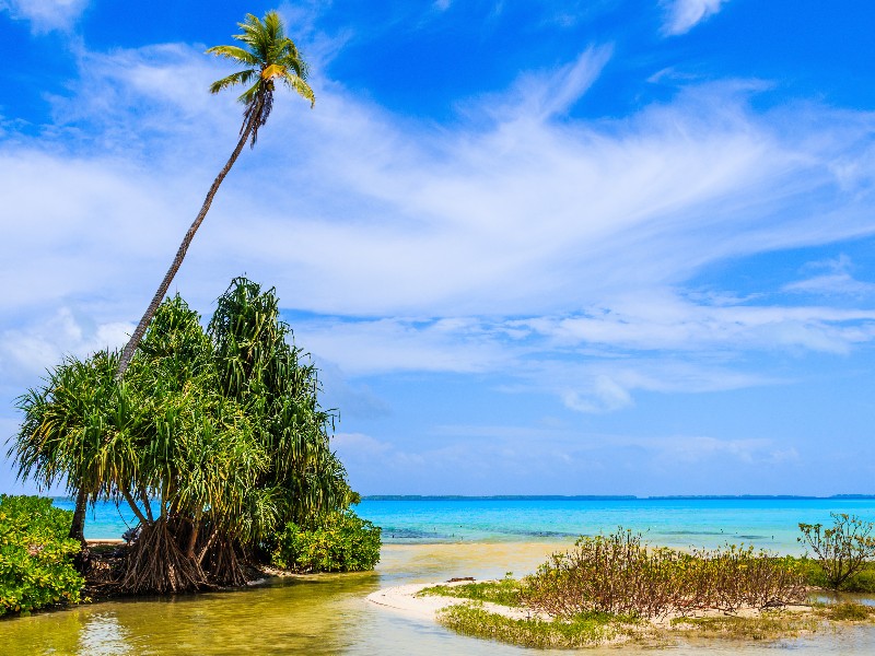 Beach on abuaeran Fanning Island Republic of Kiribati