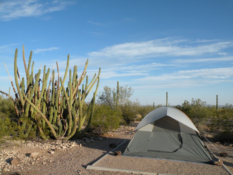 Tent camping in Organ Pipe National Monument in Arizona