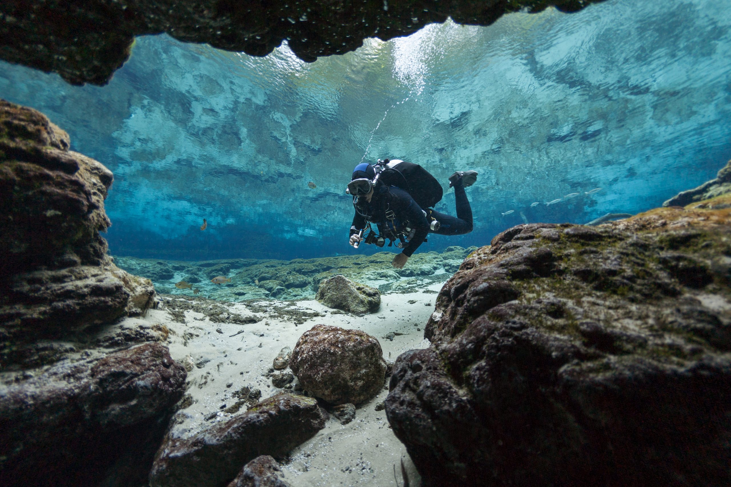 Ginnie Springs