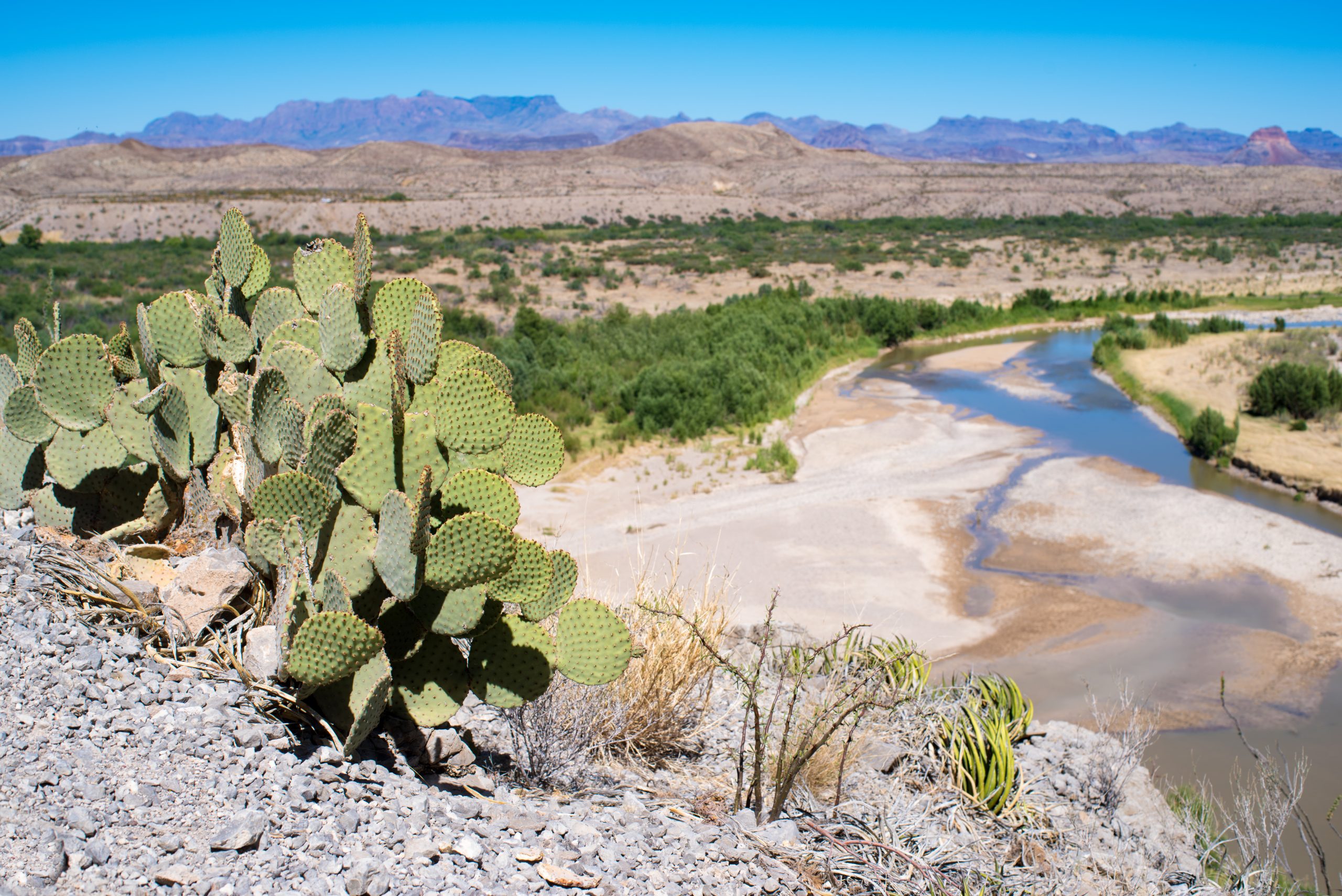 View from Santa Elena Canyon in Big Bend National Park