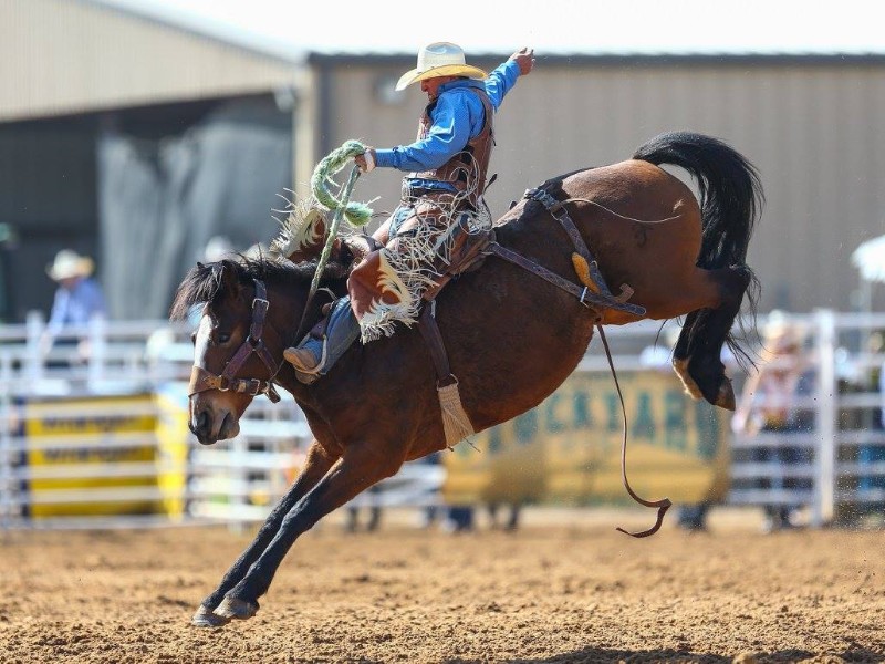 Granddaddy of Em All PRCA Rodeo