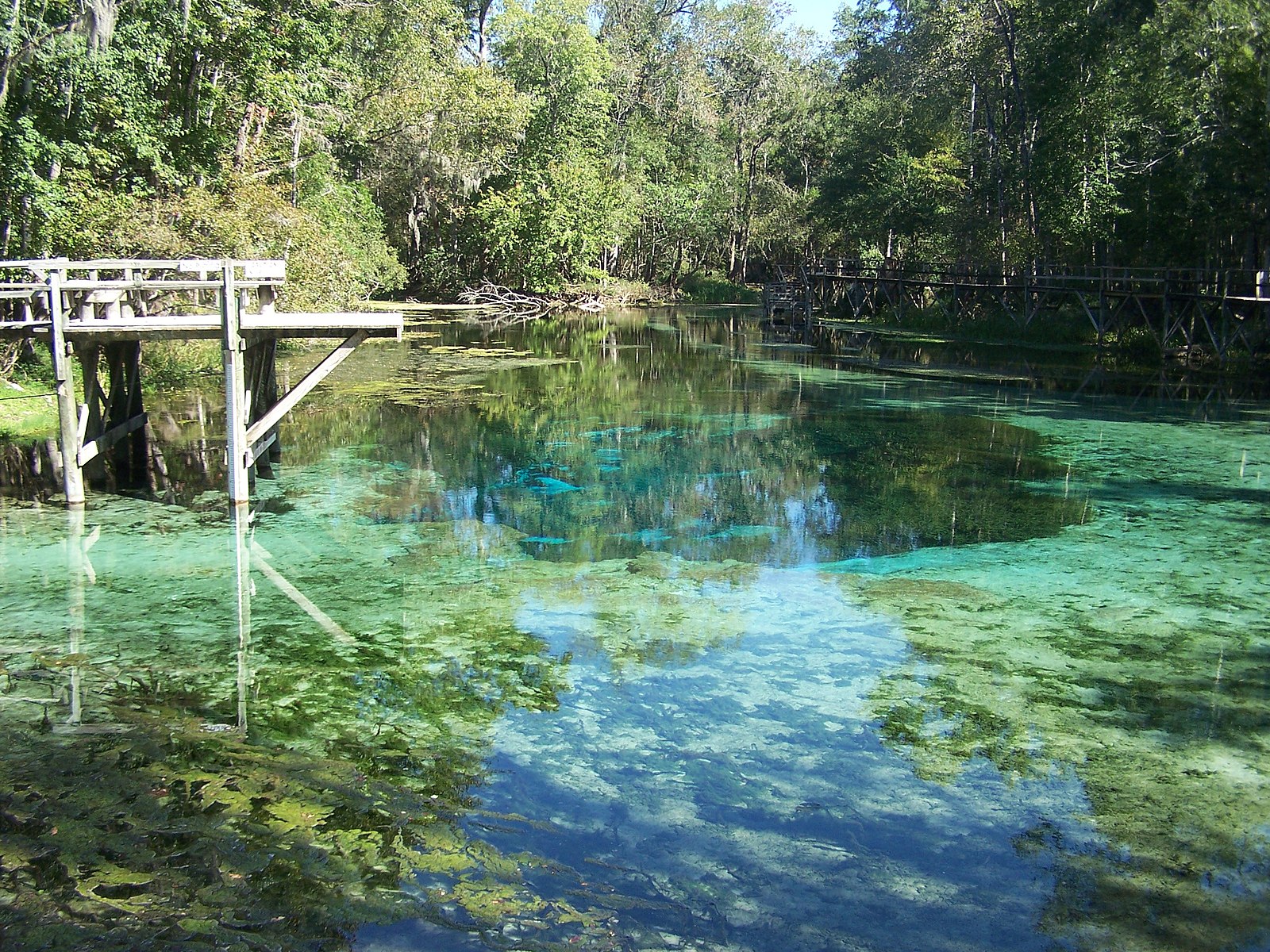 Gilchrist Blue Springs State Park