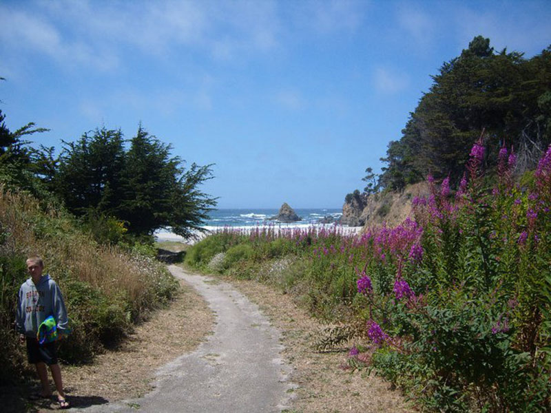 trail to private beach at Pine Beach Inn & Suites