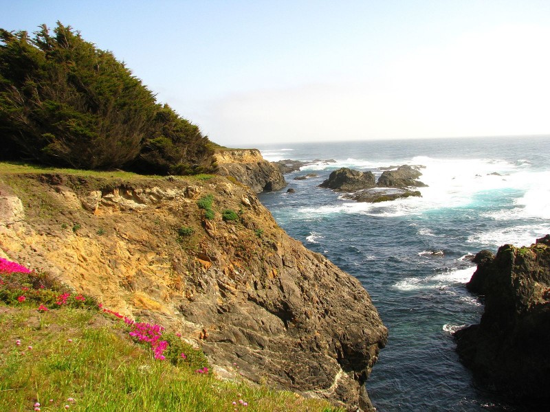 Van Damme State Park, Mendocino