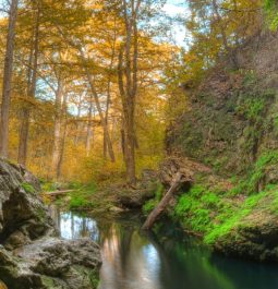 nature views at Westcave Outdoor Discovery Center